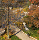 American University Campus